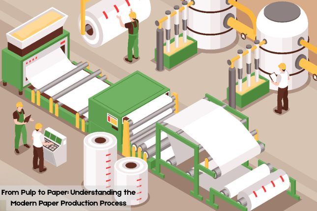 From Pulp to Paper: The Paper Production Process Explained