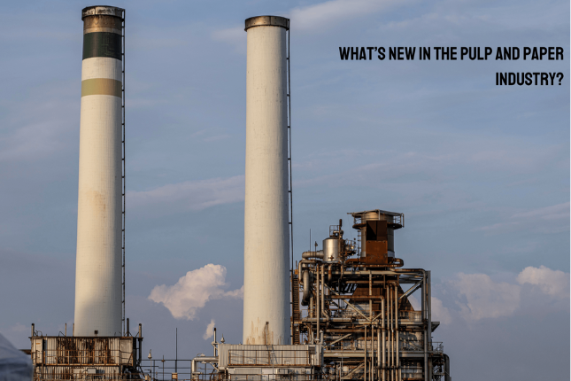 What’s New in the Pulp and Paper Industry? A Quick Look at Today’s Trends